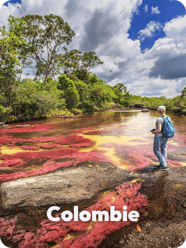 Terra Colombia