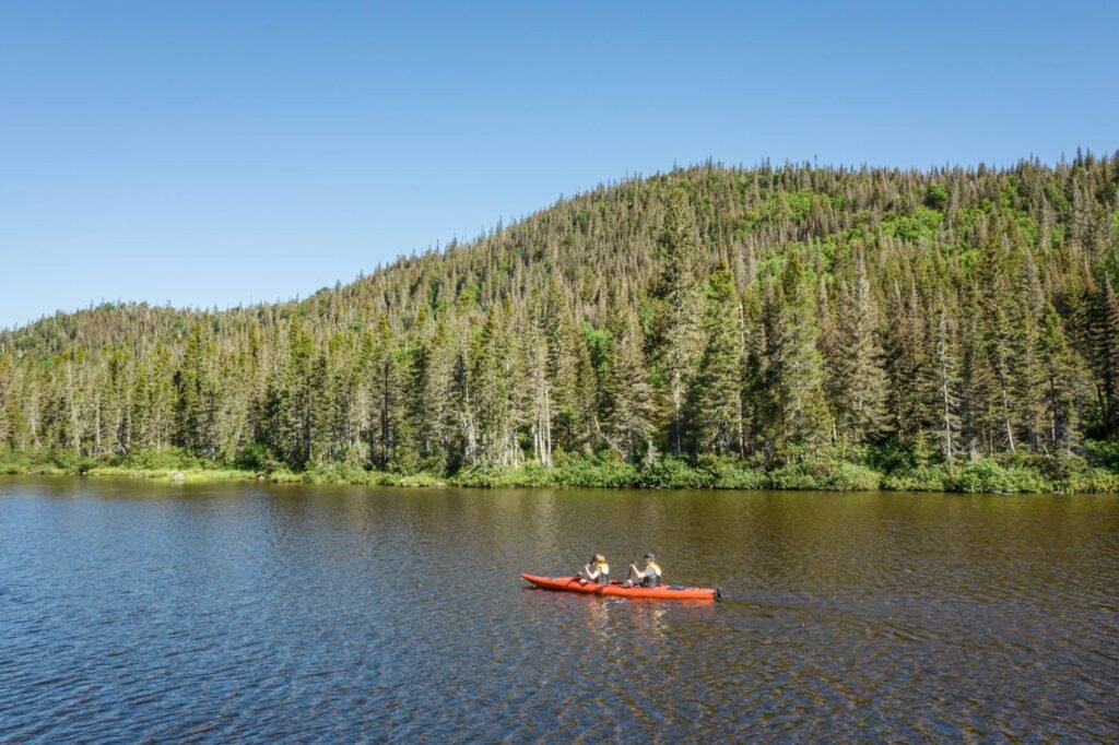 Sortie en kayak au cœur de la Baie de Fundy