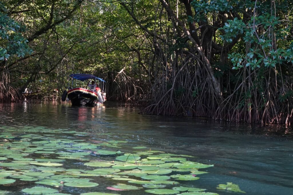 La région de Rio Dulce