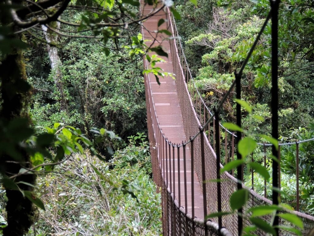 Les magnifiques ponts suspendus de Boquete