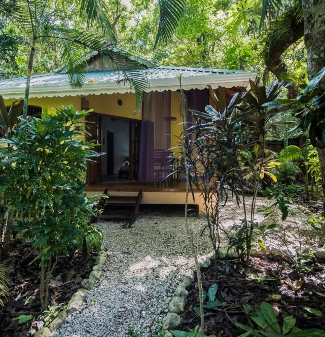 Hôtel El Pequeño Gecko Verde