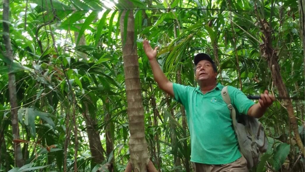 L&rsquo;archipel des îles Solentiname