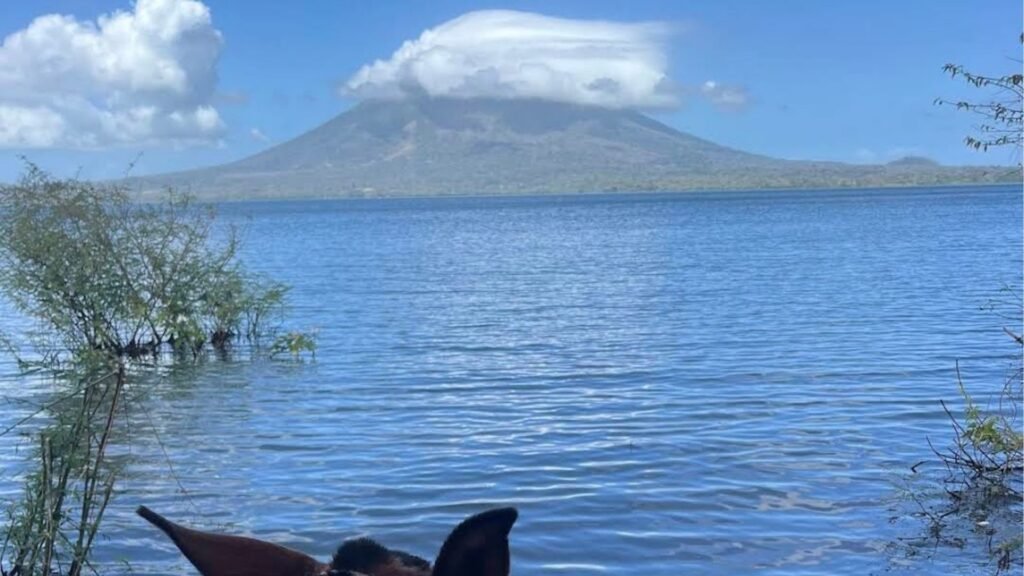 Balade à cheval entre volcans et plage