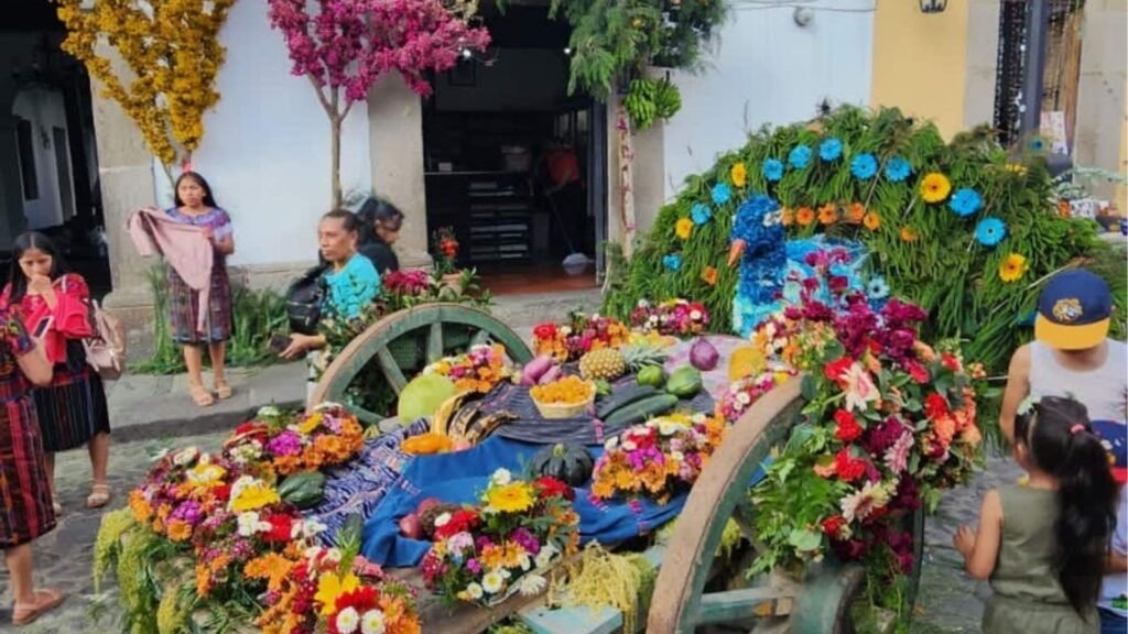 Balade au festival de fleurs d&rsquo;Antigua