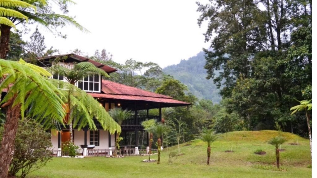 Finca Chijul