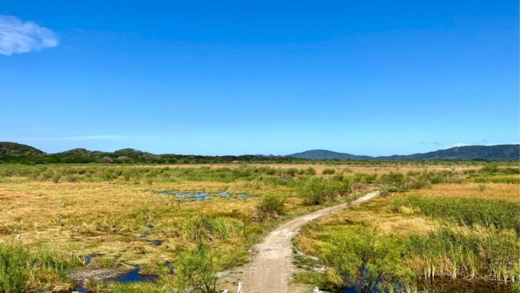 Le Guanacaste : une région aux multiples visages