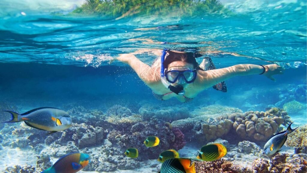 Snorkeling à Island del Caño