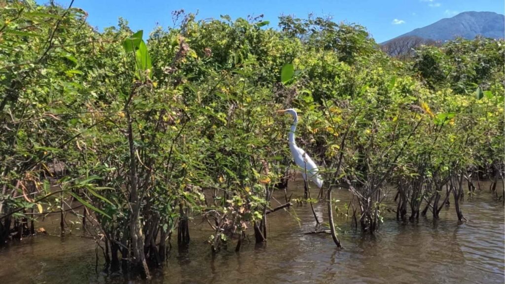 Kayak sur le rio Isthian