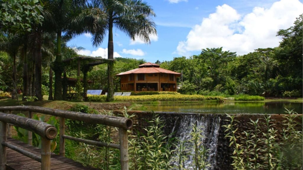 Macaw Lodge