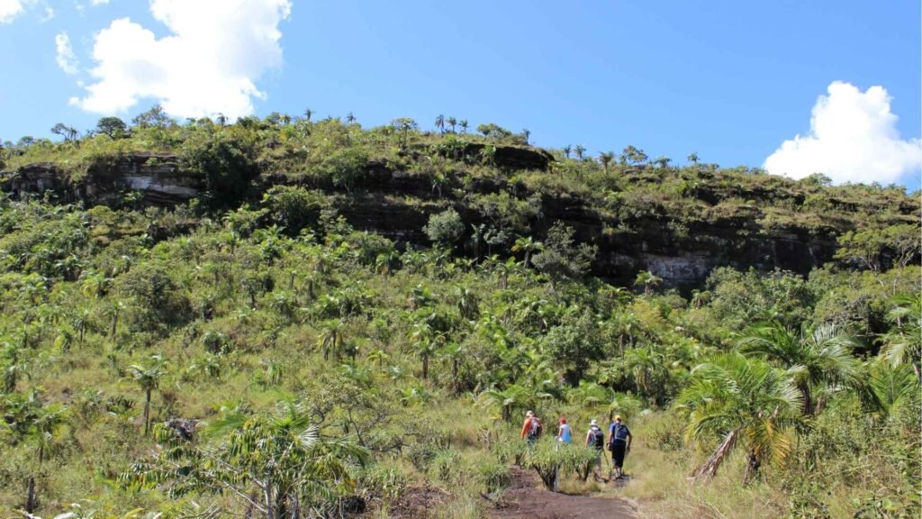 Mirador Diamante