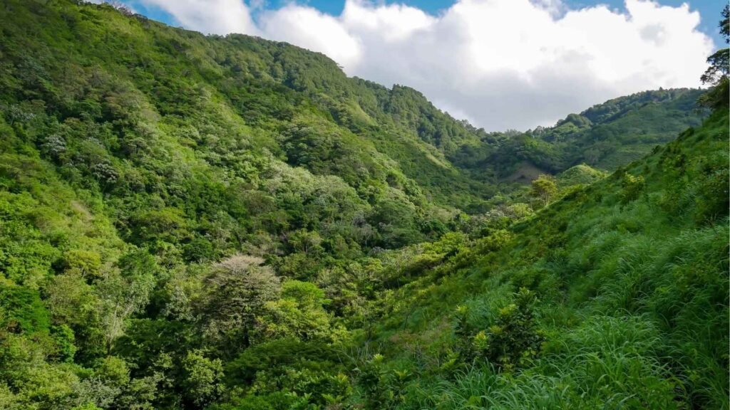 Trek dans la réserve naturelle de Quiabuc-Las Brisas