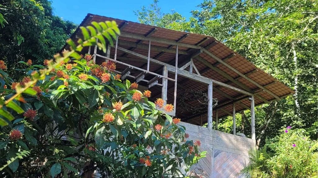 Rambala Jungle Lodge