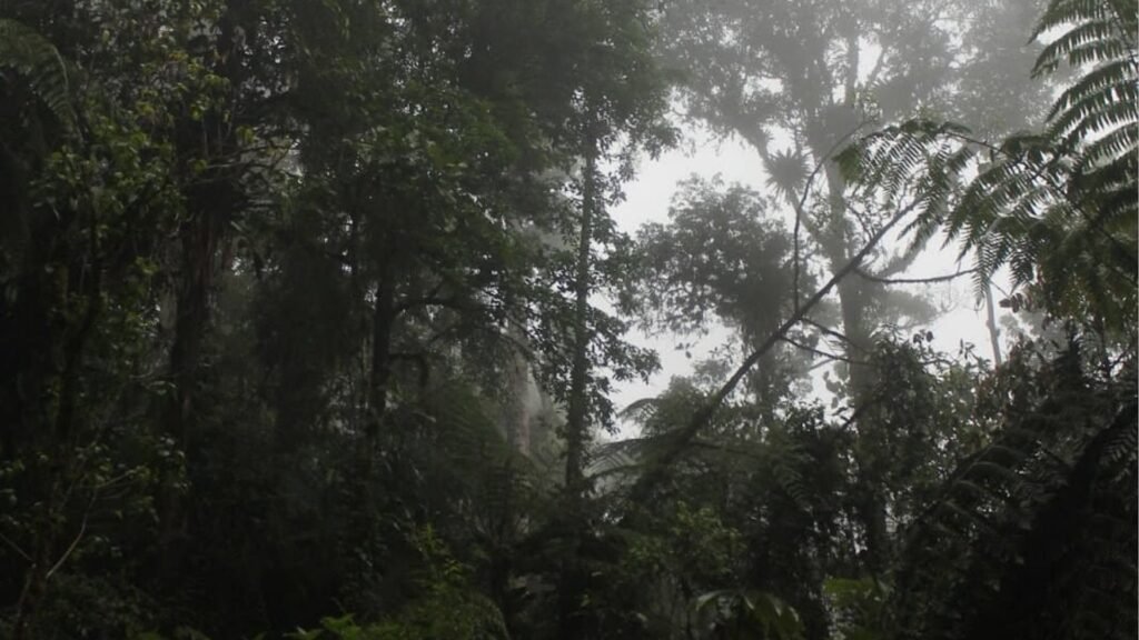 Réserve naturelle Ranchitos du Quetzal