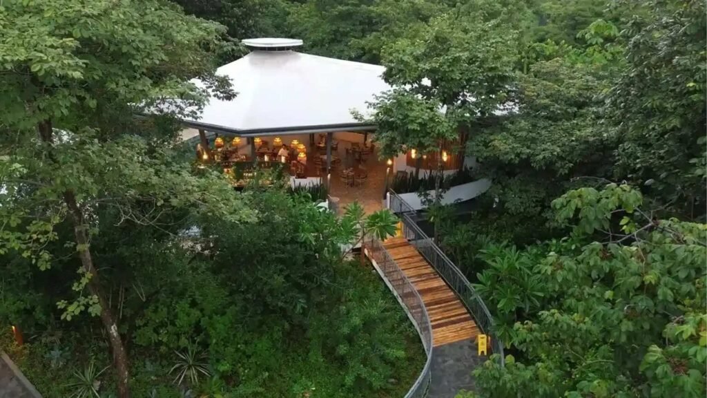 Suitree Experience Hotel