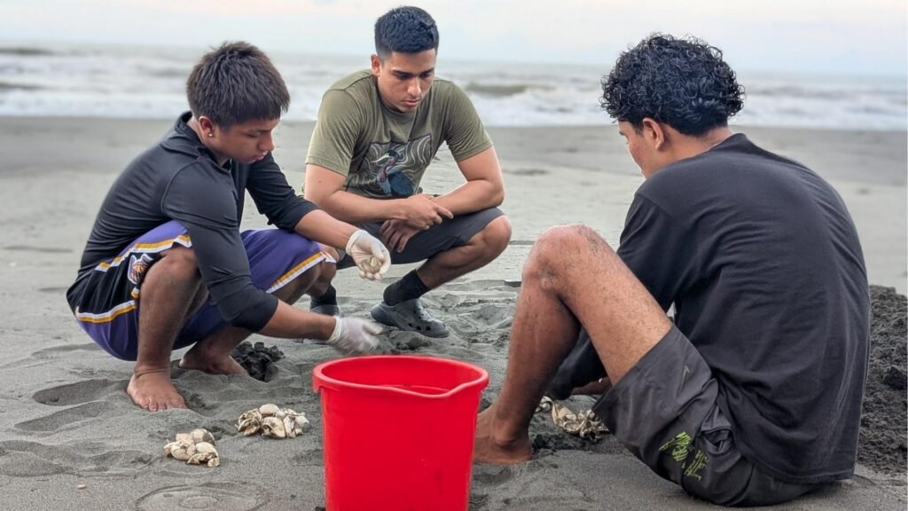 Voyage solidaire au Costa Rica