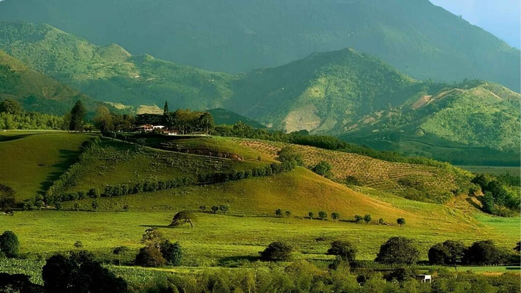 L&rsquo;hacienda Bambusa