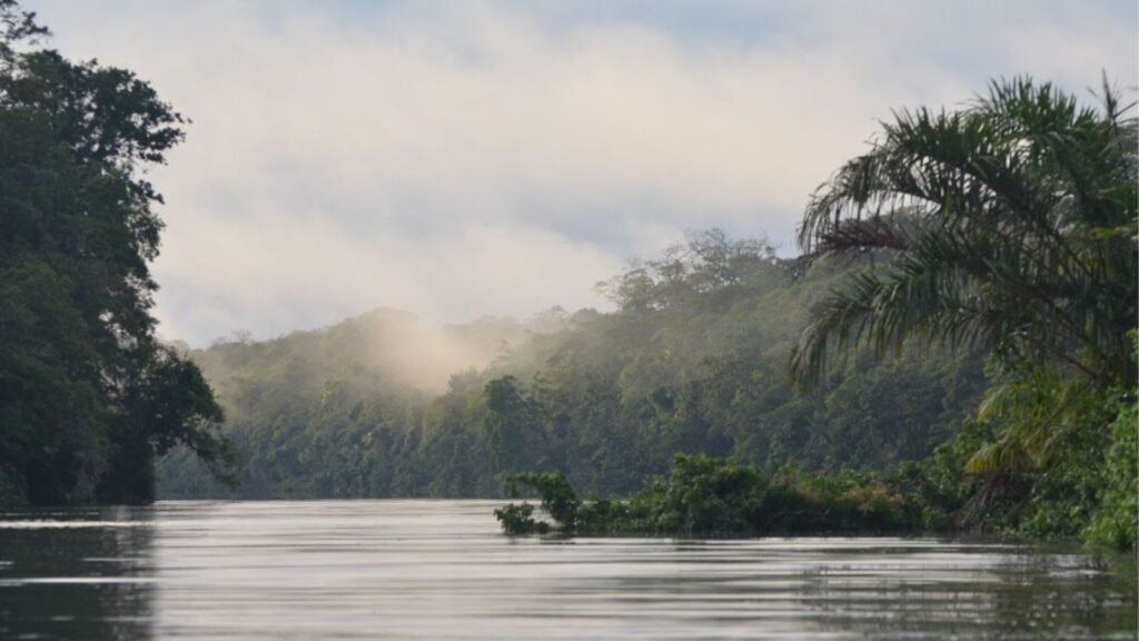 Tortuguero : la Petite Amazonie Costaricienne