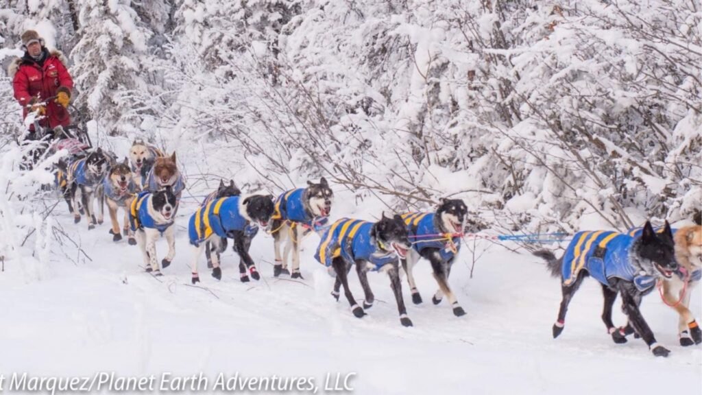 Yukon Quest