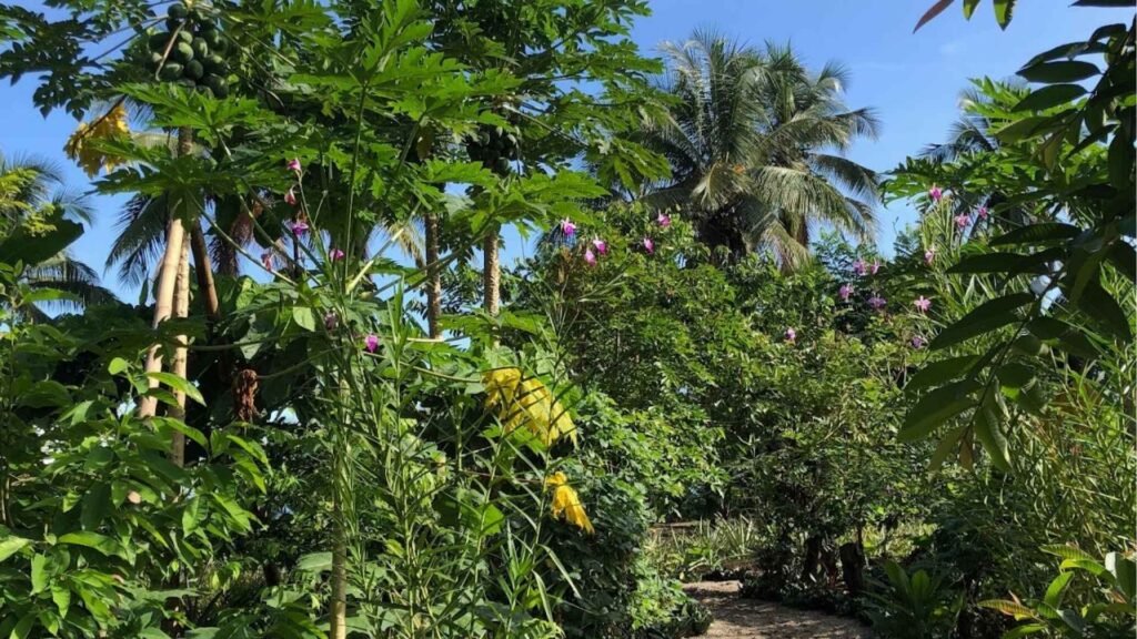 La région du Choco sur la côte Pacifique