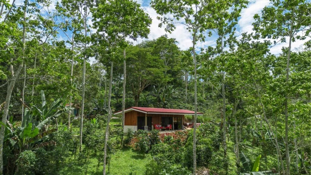 Iriká Lodge, comme à la maison au cœur d’une plantation de café biologique