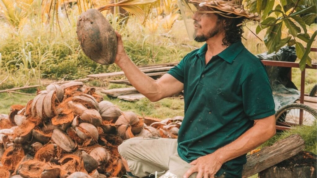 La noix de coco sous toutes ses formes chez David