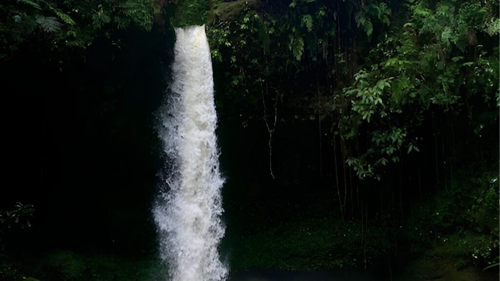 Découvrez le Putumayo