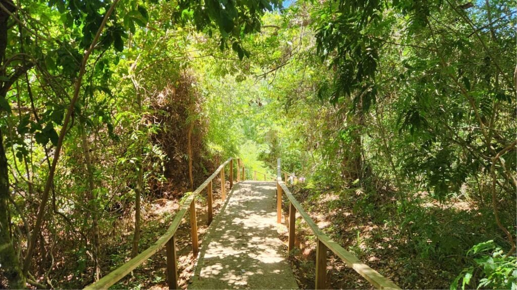 Le Panama vert : un voyage nature