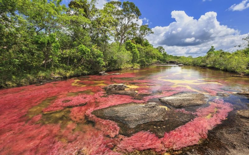 homepage-pays-colombie-pays-caño cristales